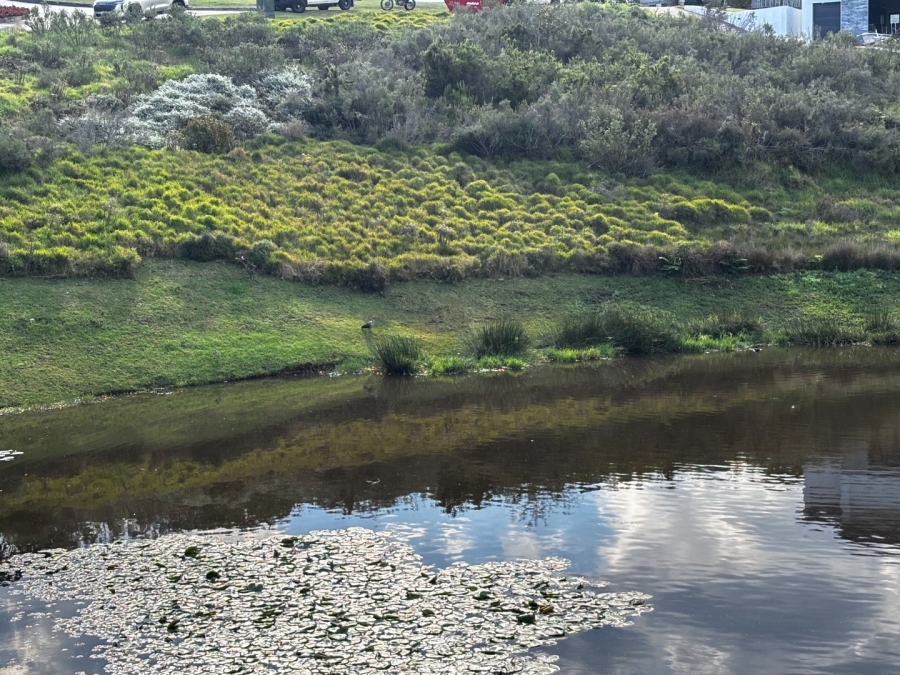 Commercial Property for Sale in Oubaai Western Cape